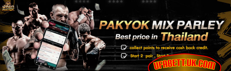 baner-การส่งเสริม-ufabet-zin-2