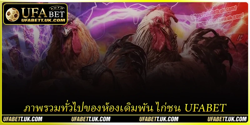 ภาพรวมทั่วไปของห้องเดิมพัน ไก่ชน UFABET ภาพรวมทั่วไปของห้องเดิมพัน ไก่ชน UFABET