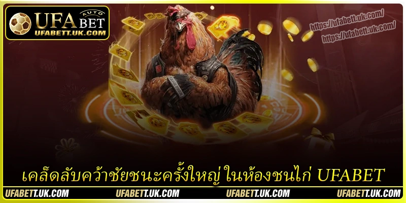 เคล็ดลับคว้าชัยชนะครั้งใหญ่ในห้องชนไก่ UFABET เคล็ดลับคว้าชัยชนะครั้งใหญ่ในห้องชนไก่ UFABET